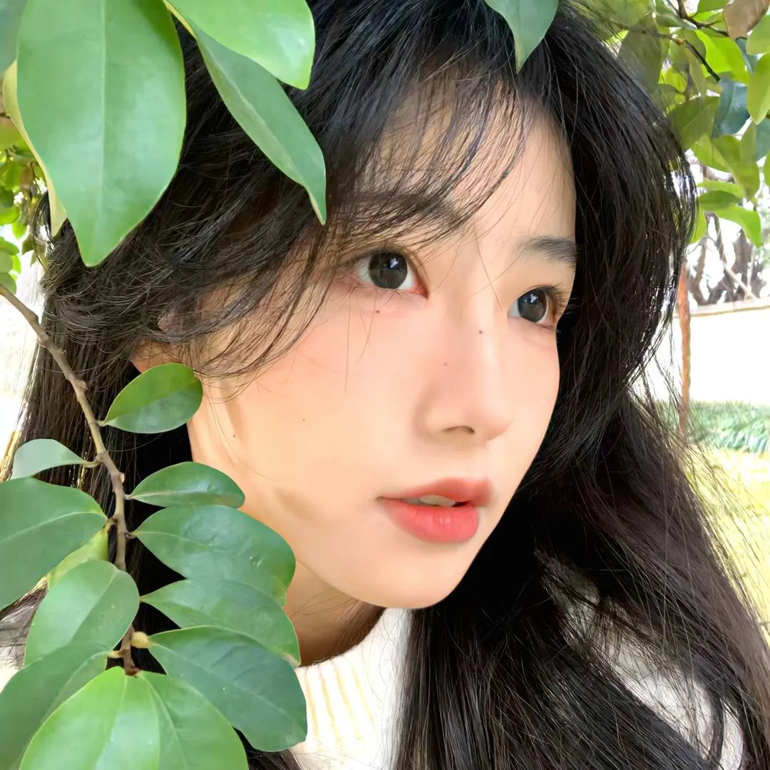 一世情